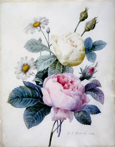 Boeket Rozen met Madeliefjes, gepubliceerd 1834